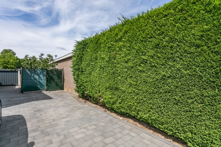 Foto 33 van Vondelstraat 8