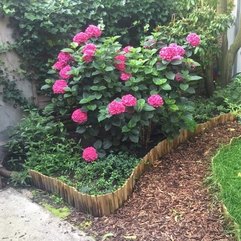 Foto 14 van Weesperzijde 95-H