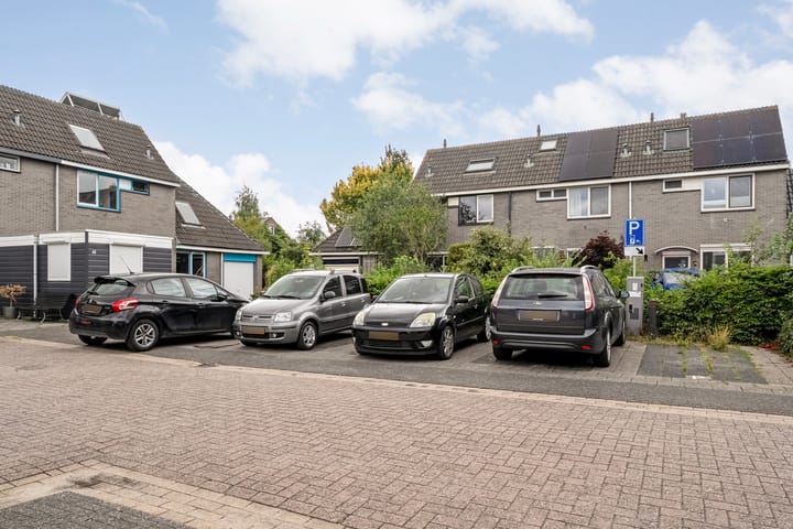 Foto 4 van Waterkers 50