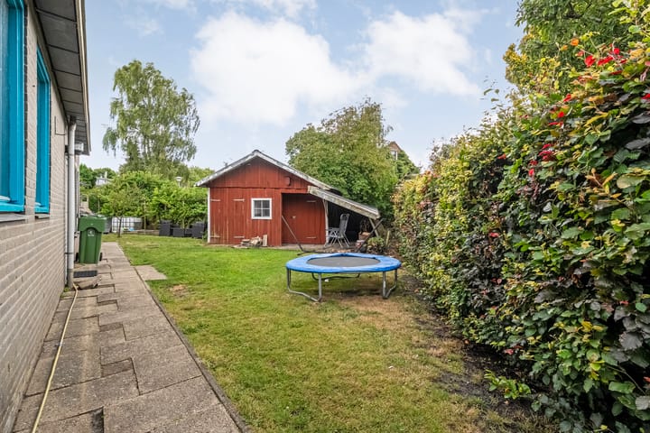 Foto 44 van Waterkers 50