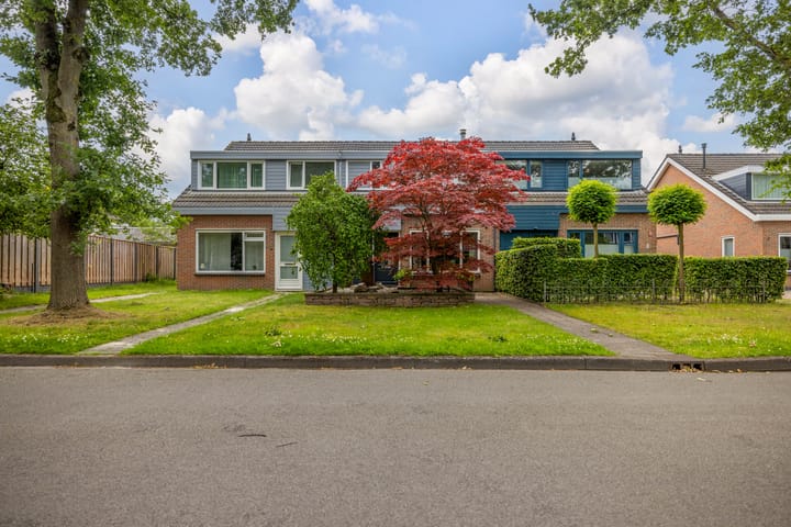 Foto 4 van De Gaai 3