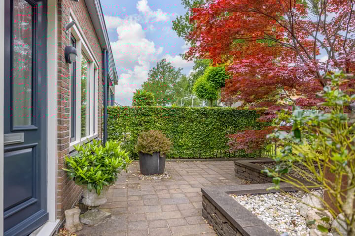 Foto 6 van De Gaai 3