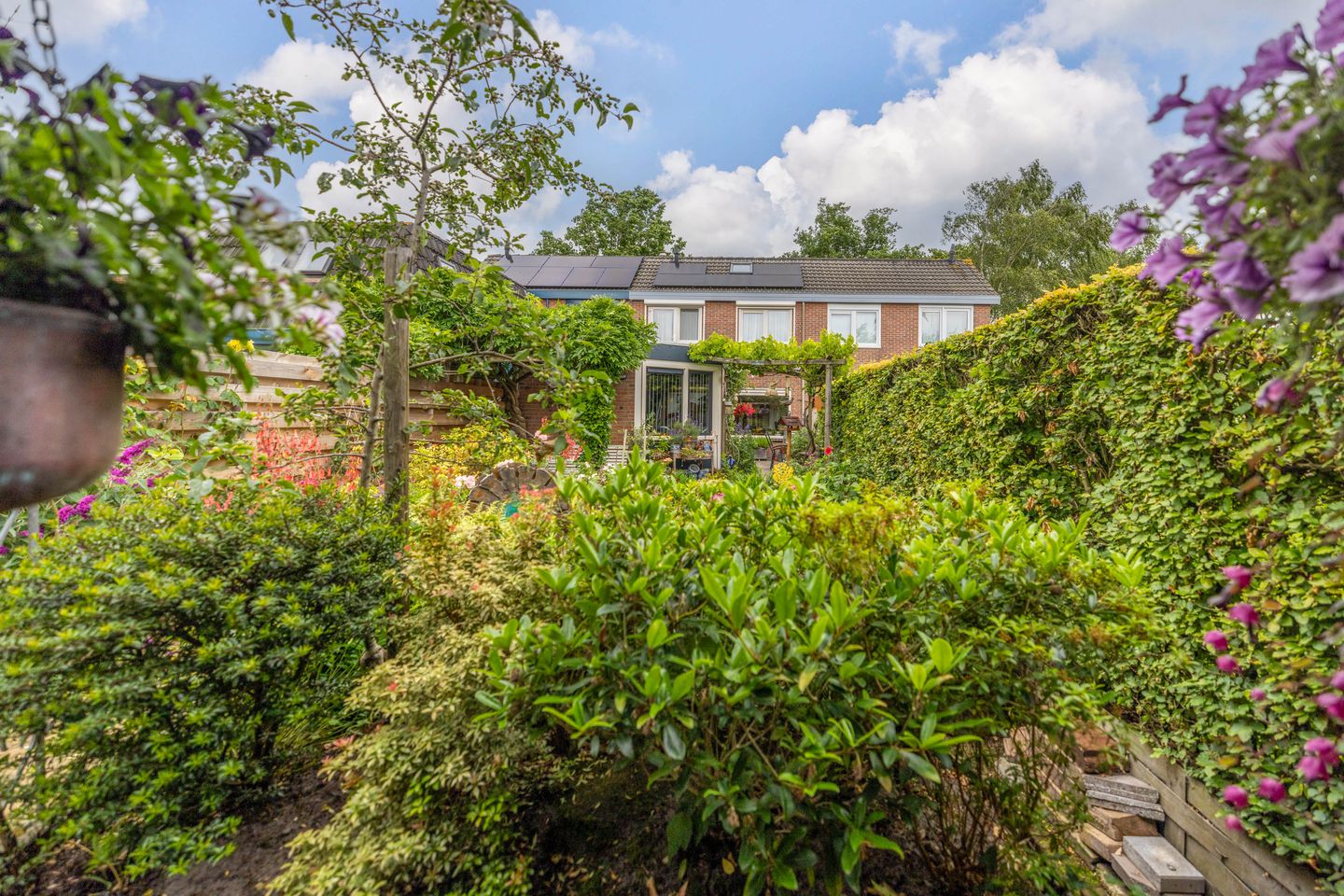 Photo 35 of De Gaai 3