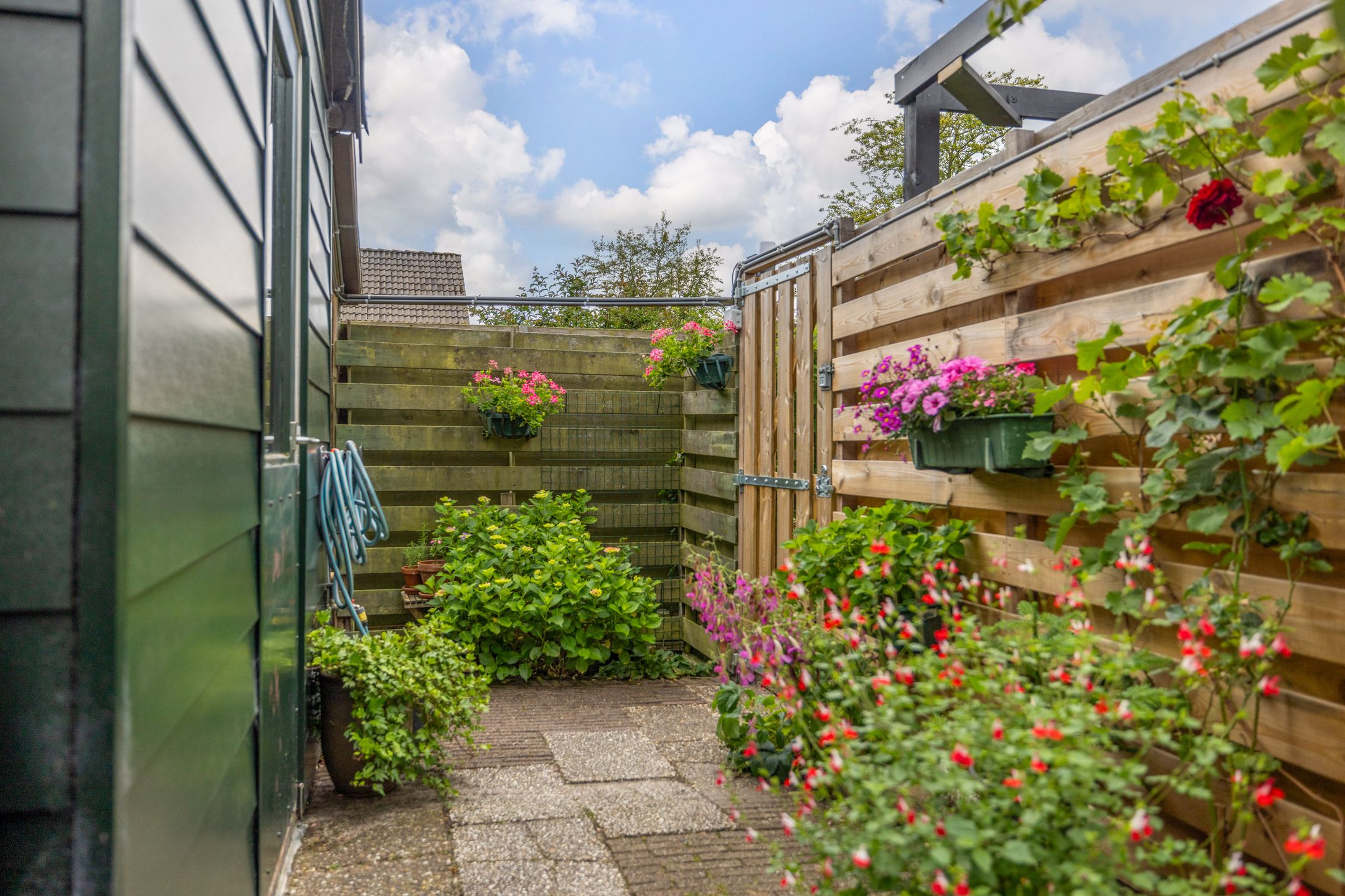 Photo 42 of De Gaai 3