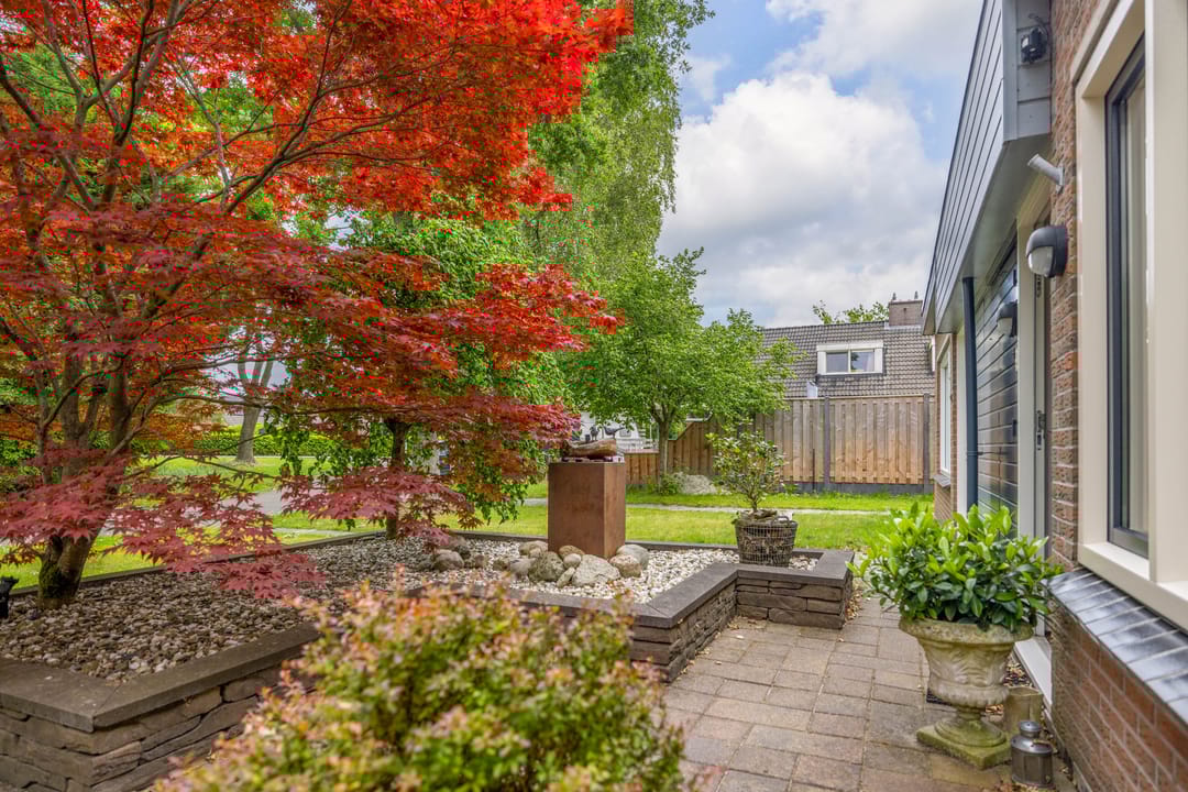 Photo 52 of De Gaai 3