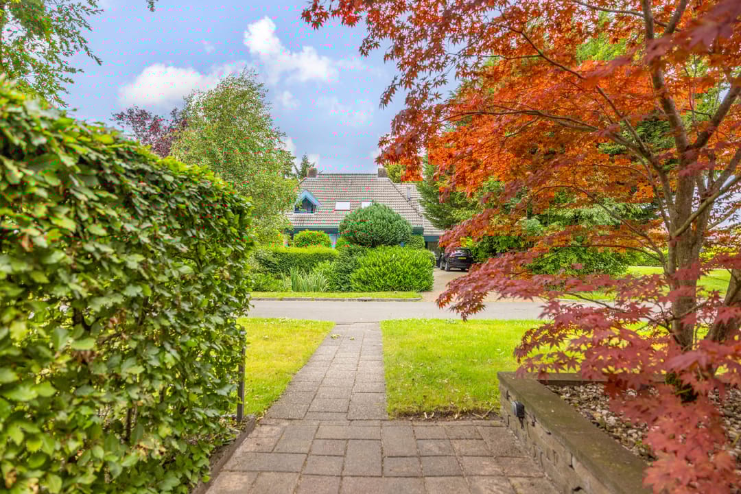 Photo 53 of De Gaai 3