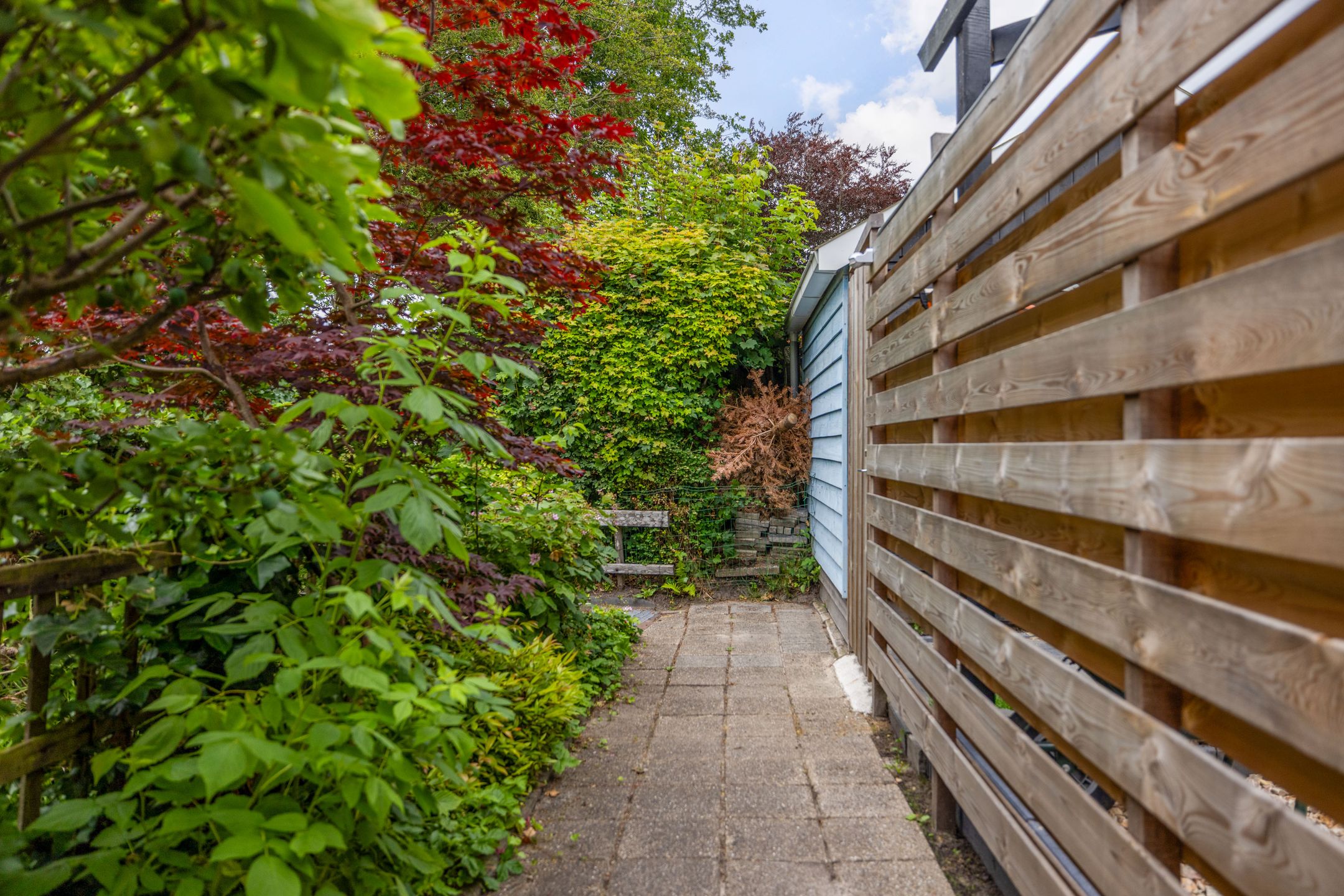 Photo 54 of De Gaai 3