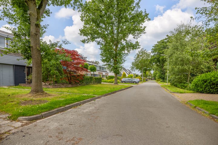 Foto 58 van De Gaai 3