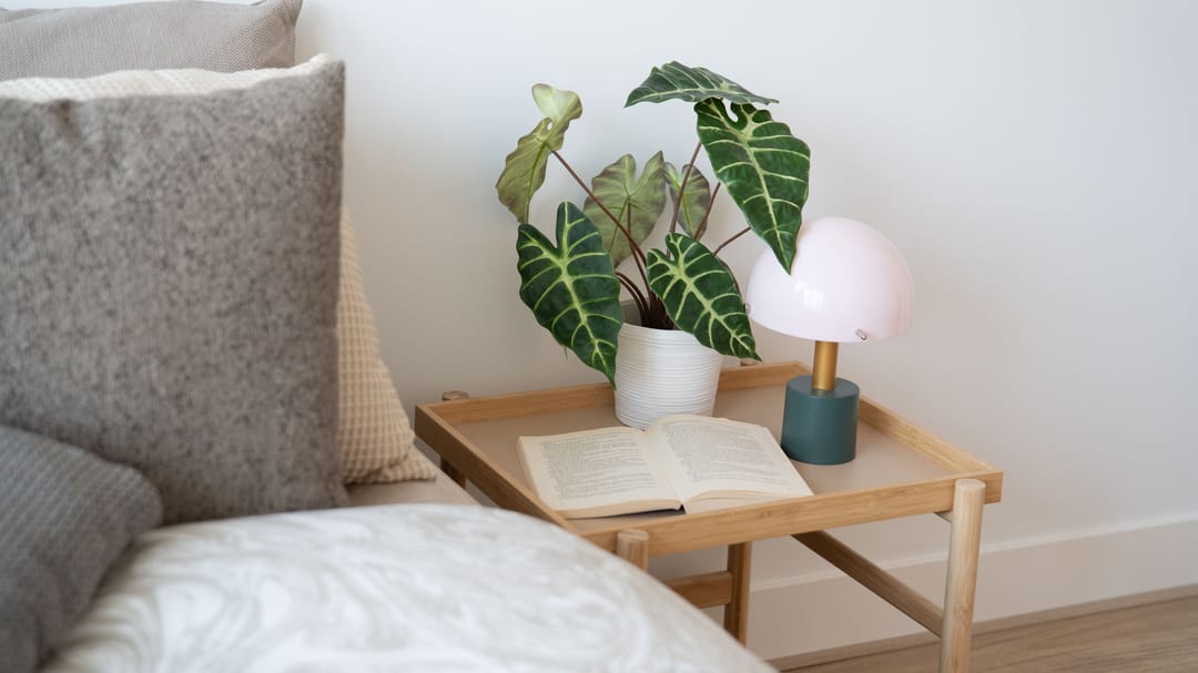 Foto 46 van Van der Werfstraat 47-F