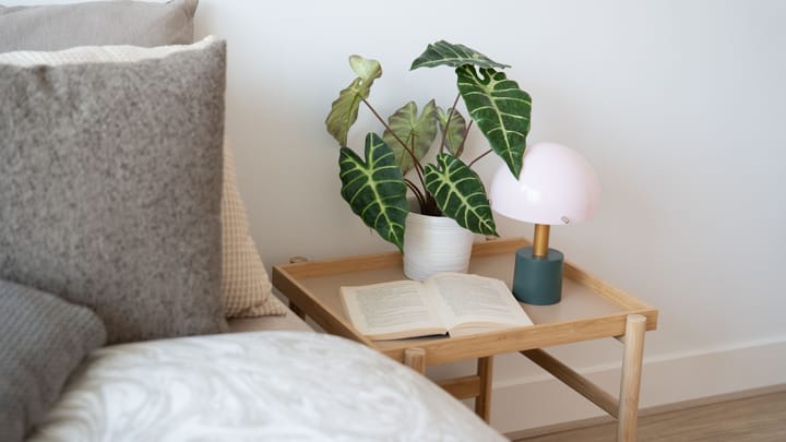 Foto 46 van Van der Werfstraat 47-F