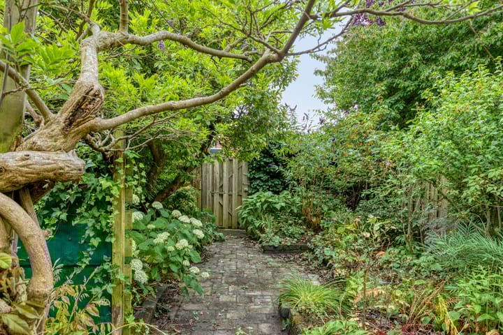 Photo 35 of De Veste 11 8