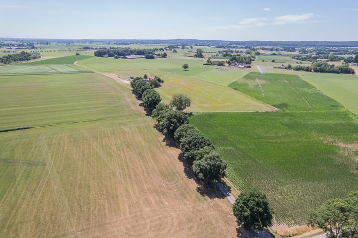 Foto 67 van Waalseweg 2