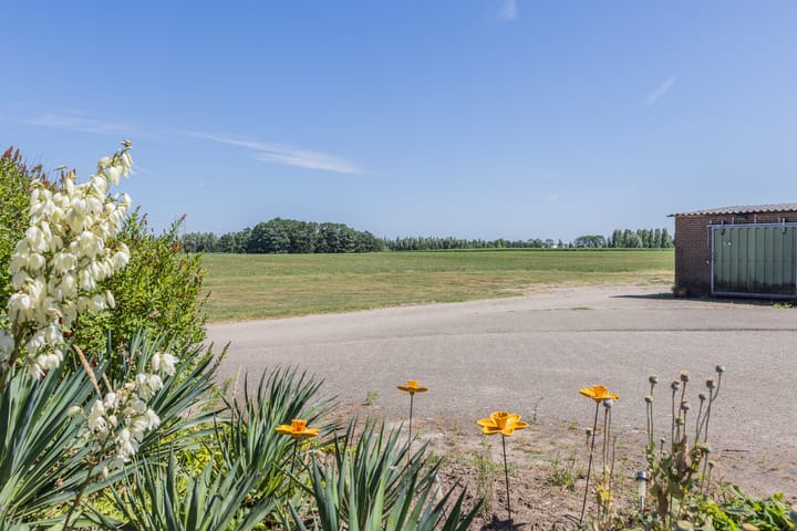 Foto 83 van Waalseweg 2