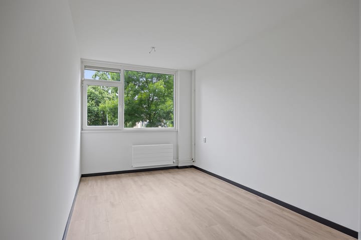 Foto 19 van Stinzenflora 104