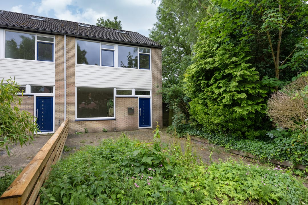 Photo 2 of Stinzenflora 102