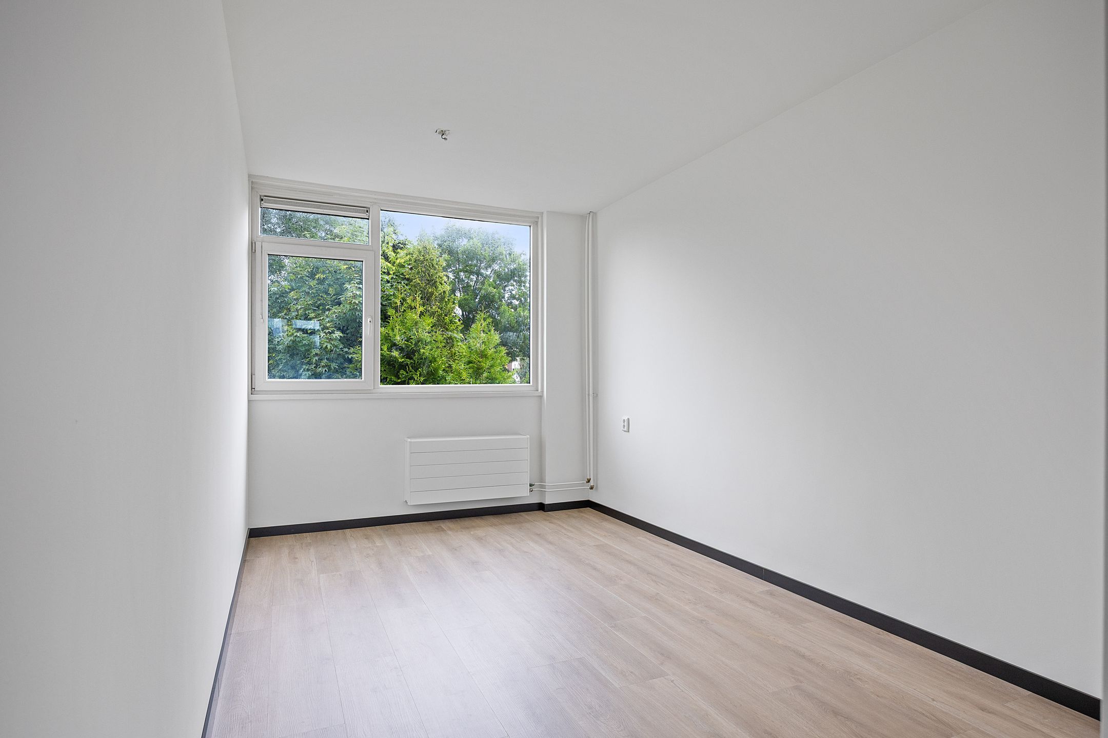 Foto 21 van Stinzenflora 104