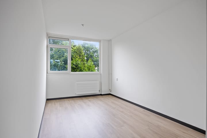 Foto 21 van Stinzenflora 104