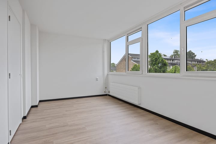 Foto 25 van Stinzenflora 104