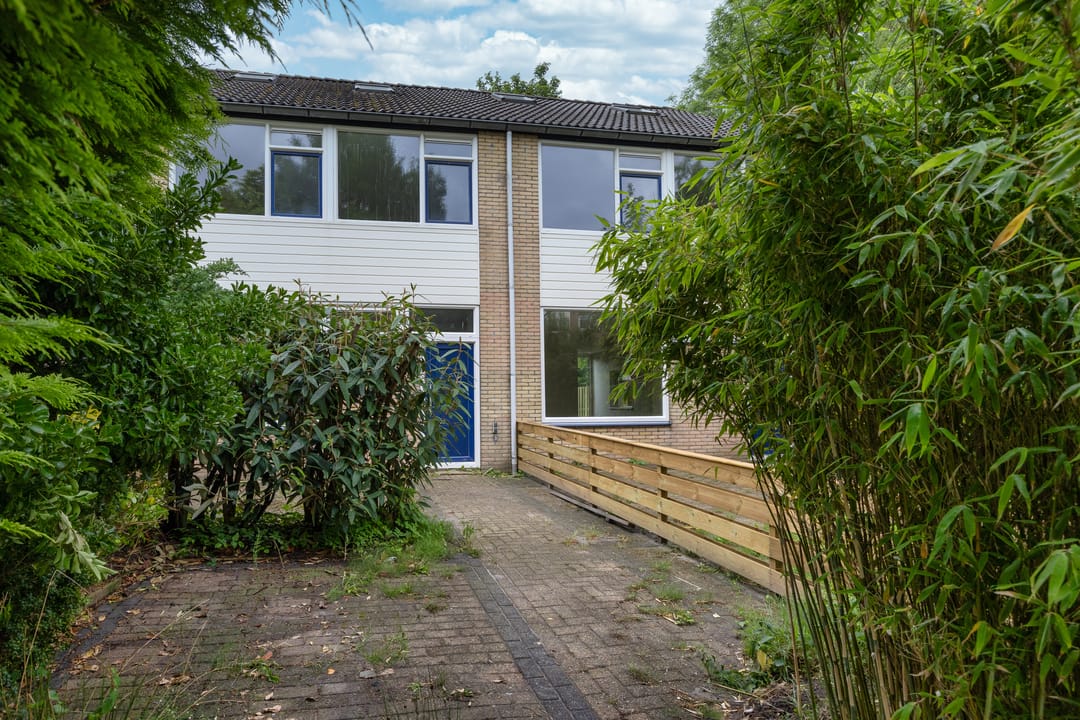 Foto 2 van Stinzenflora 104