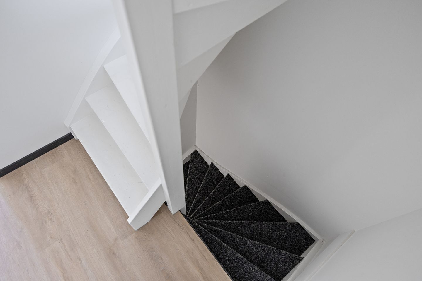 Photo 14 of Stinzenflora 102