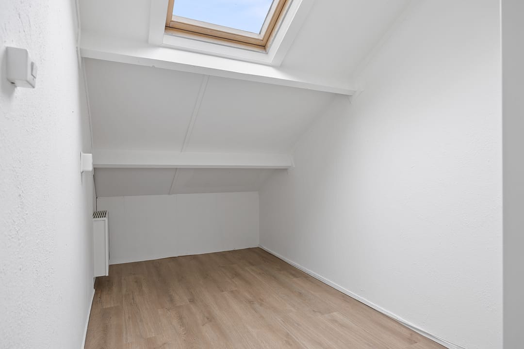 Foto 31 van Stinzenflora 104