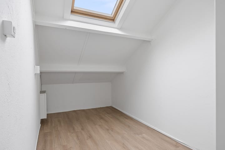 Foto 31 van Stinzenflora 104