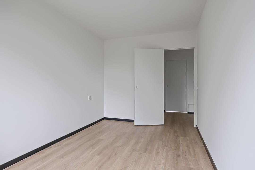 Photo 16 of Stinzenflora 102