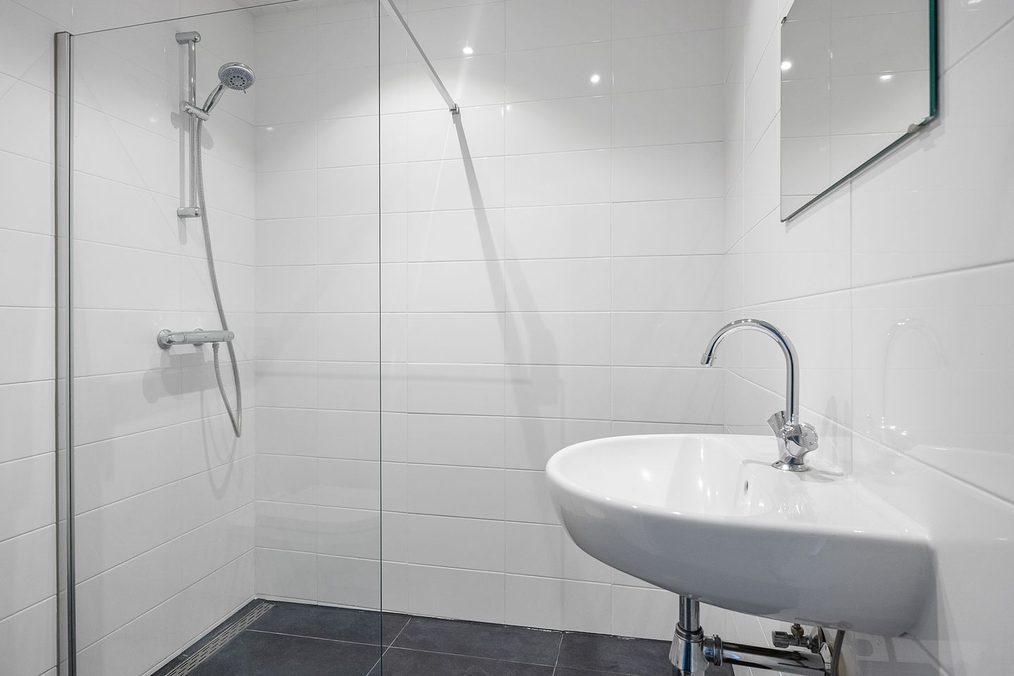 Photo 19 of Stinzenflora 102