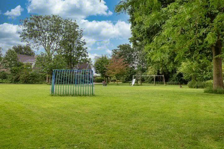 Foto 36 van Stinzenflora 104