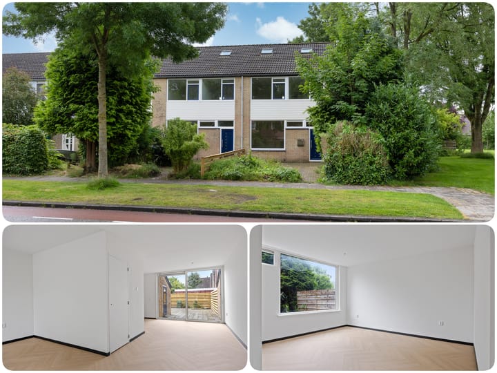 Foto 37 van Stinzenflora 104