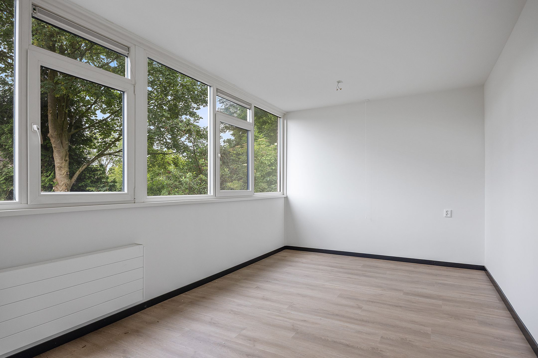 Photo 21 of Stinzenflora 102