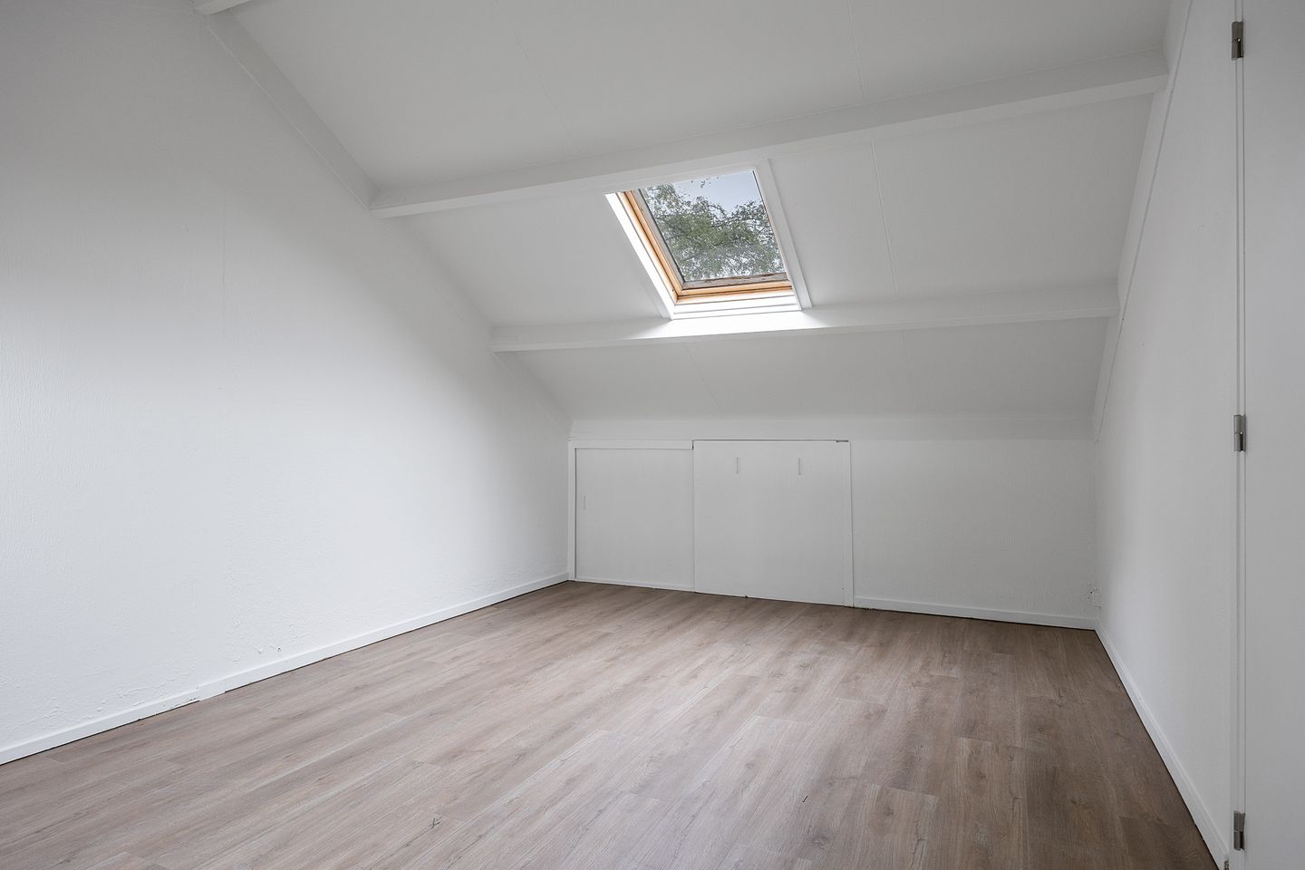 Photo 25 of Stinzenflora 102