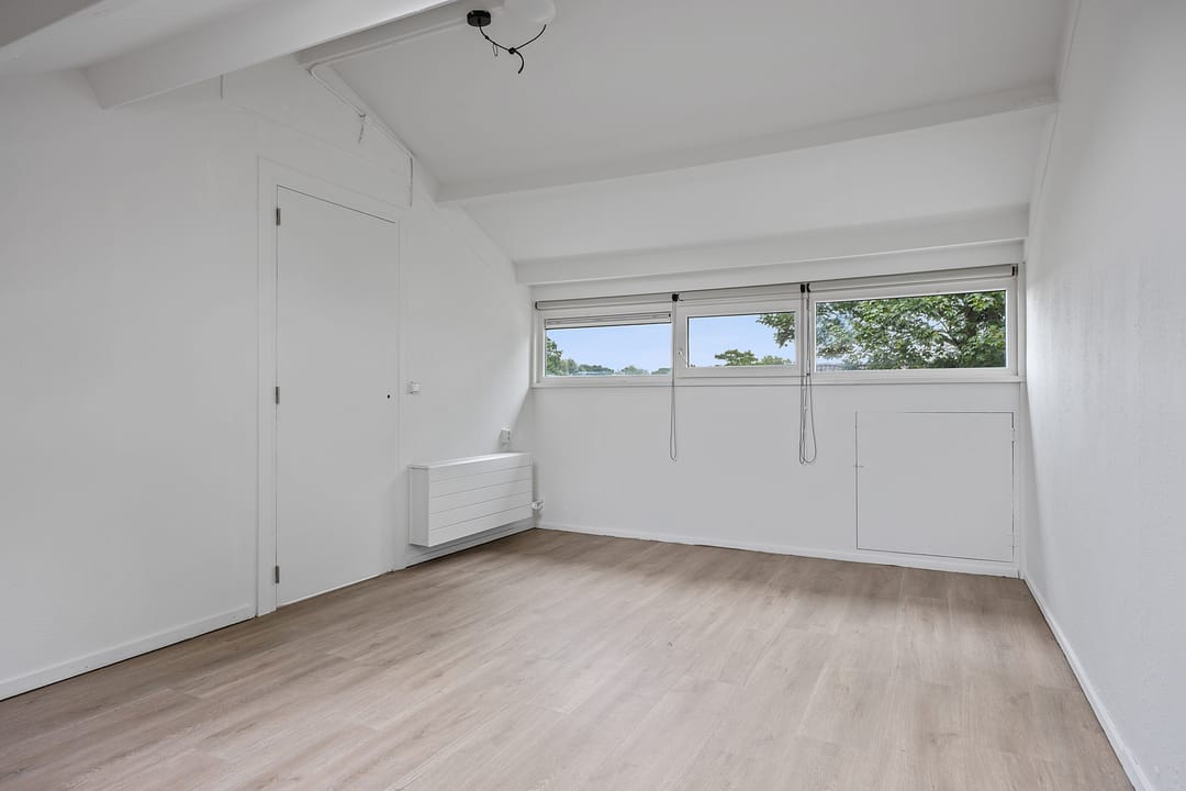 Photo 26 of Stinzenflora 102