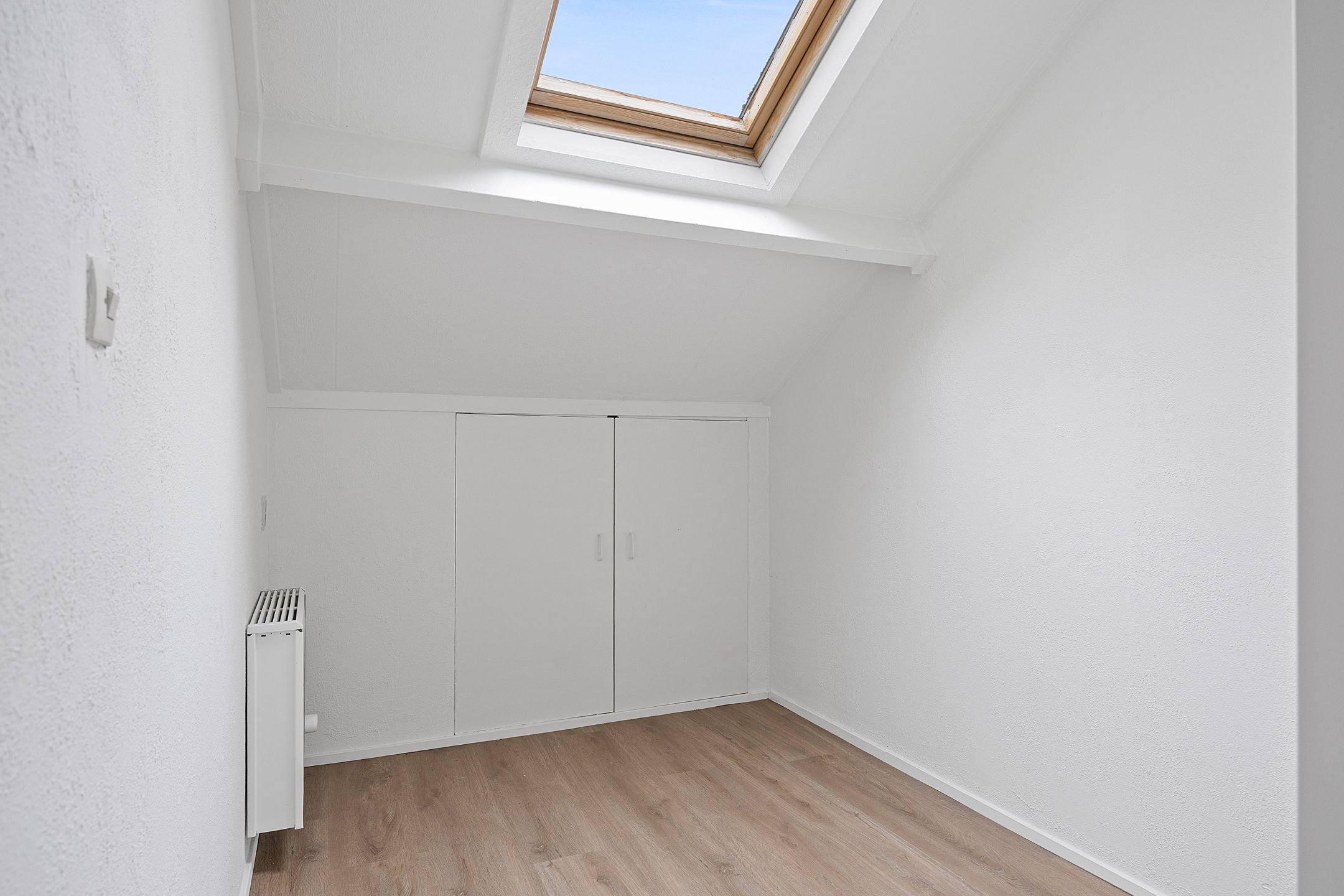 Photo 27 of Stinzenflora 102