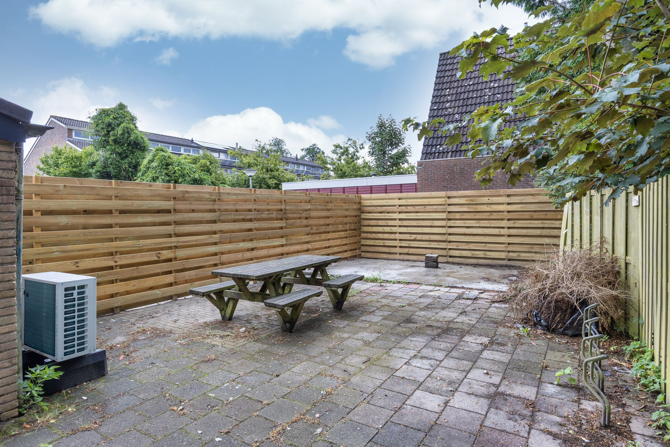 Photo 30 of Stinzenflora 102