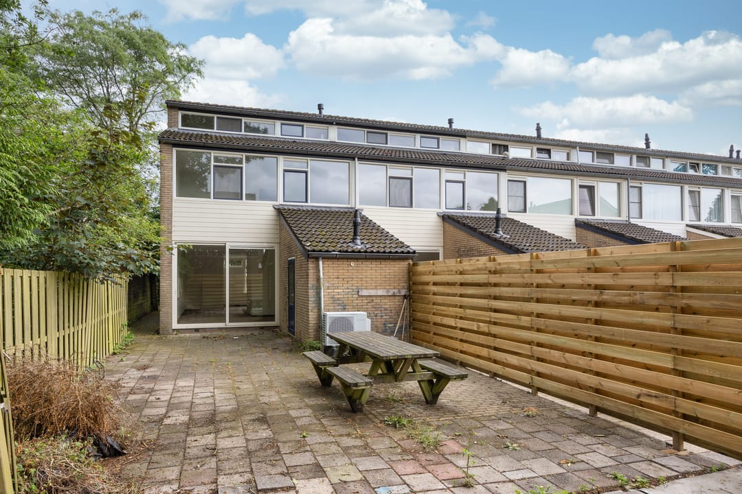 Photo 31 of Stinzenflora 102