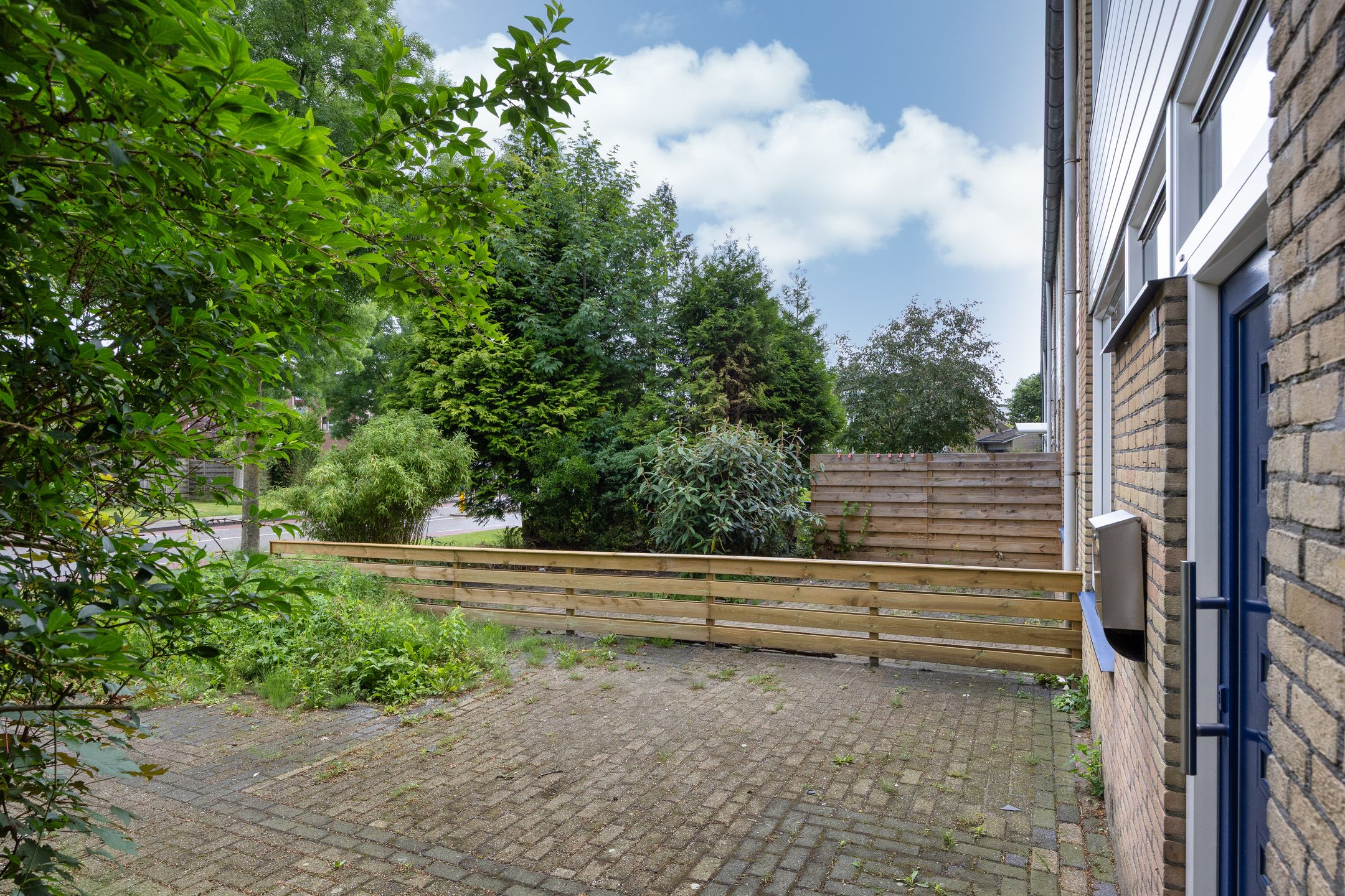 Photo 33 of Stinzenflora 102