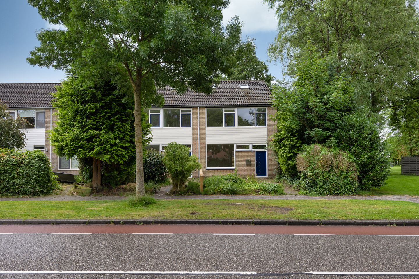 Photo 35 of Stinzenflora 102