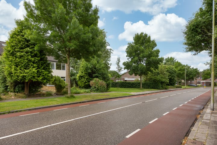 Foto 36 van Stinzenflora 102