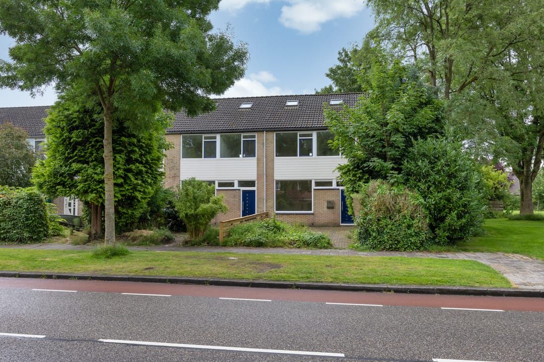 Photo 37 of Stinzenflora 102