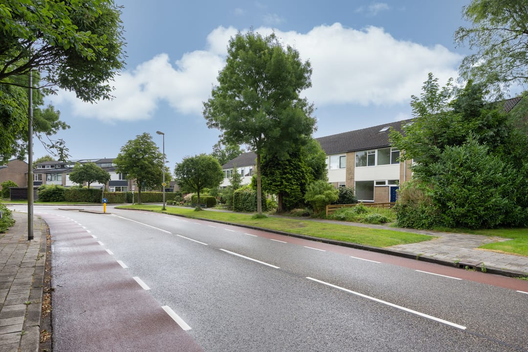 Photo 38 of Stinzenflora 102