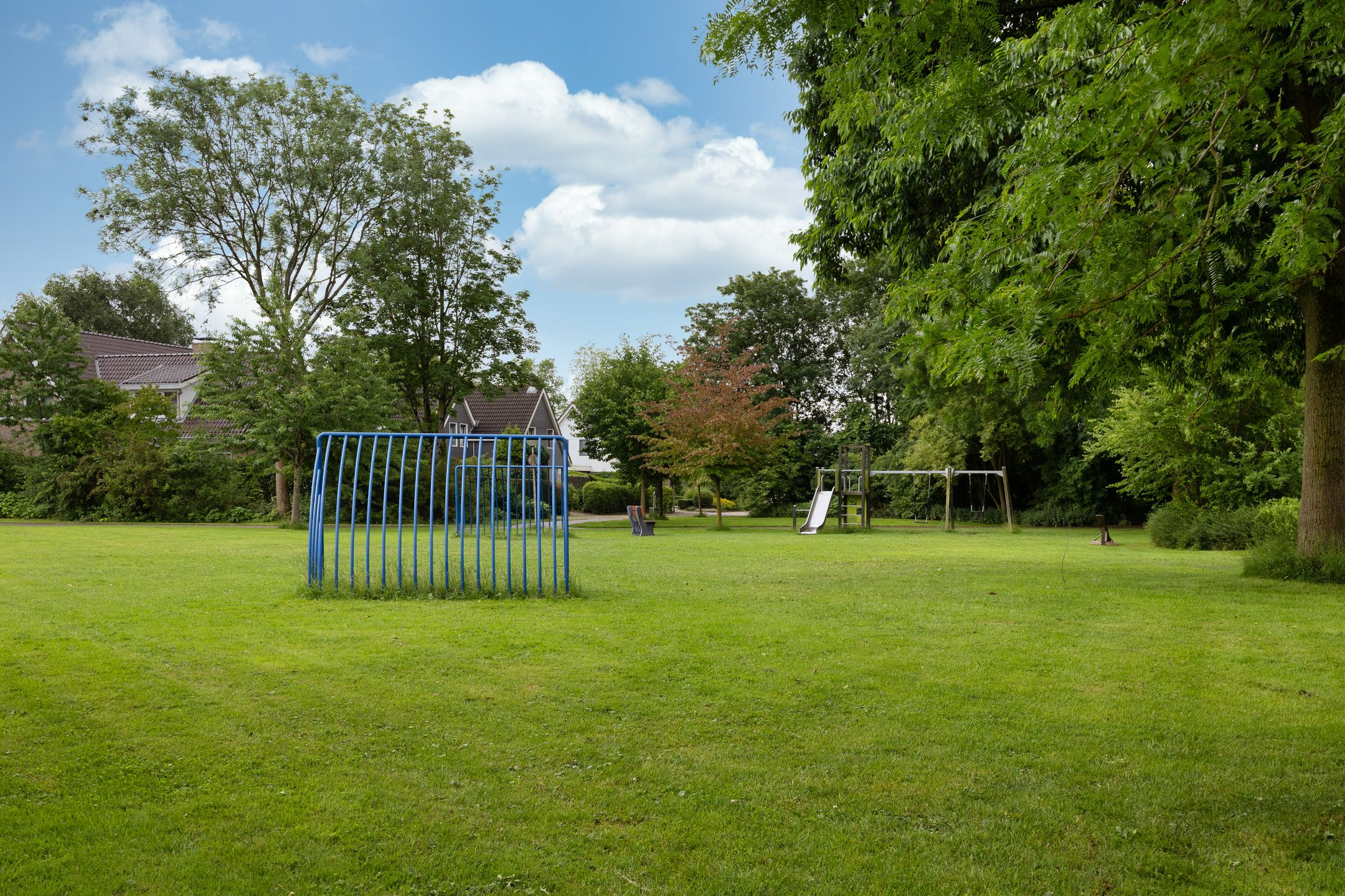 Photo 39 of Stinzenflora 102