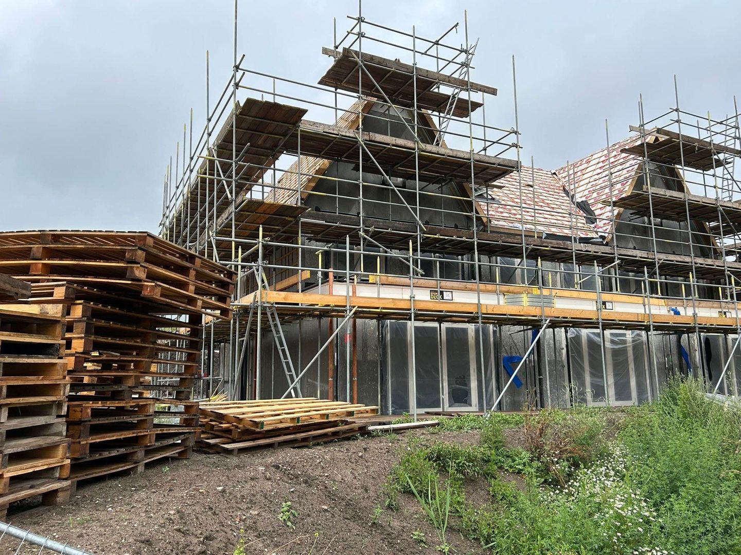 Photo 4 of Pastinaak 80