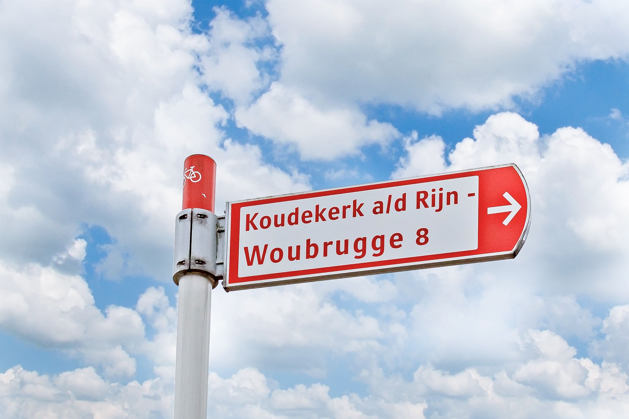 Photo 18 of Pastinaak 80