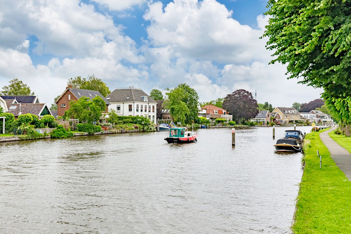 Photo 19 of Pastinaak 80