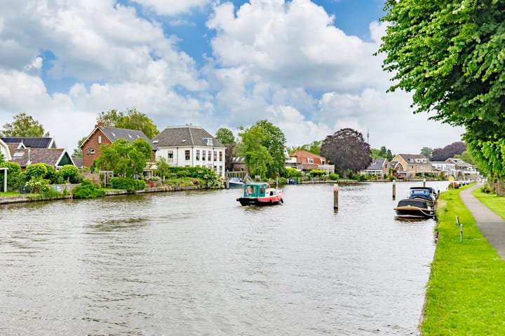 Foto 19 van Pastinaak 80