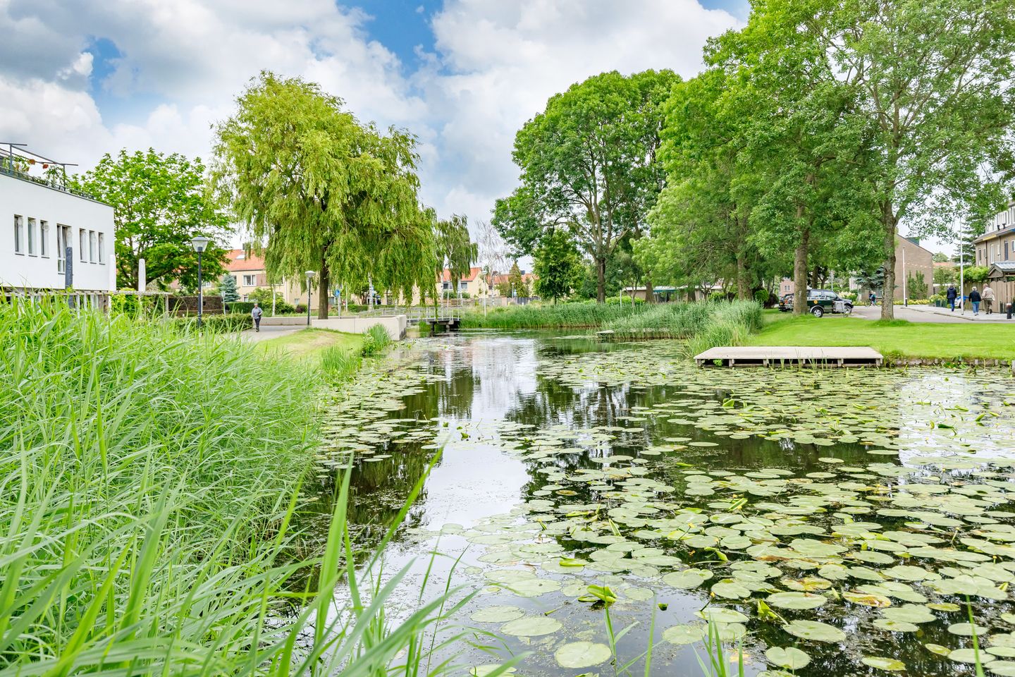 Photo 20 of Pastinaak 80