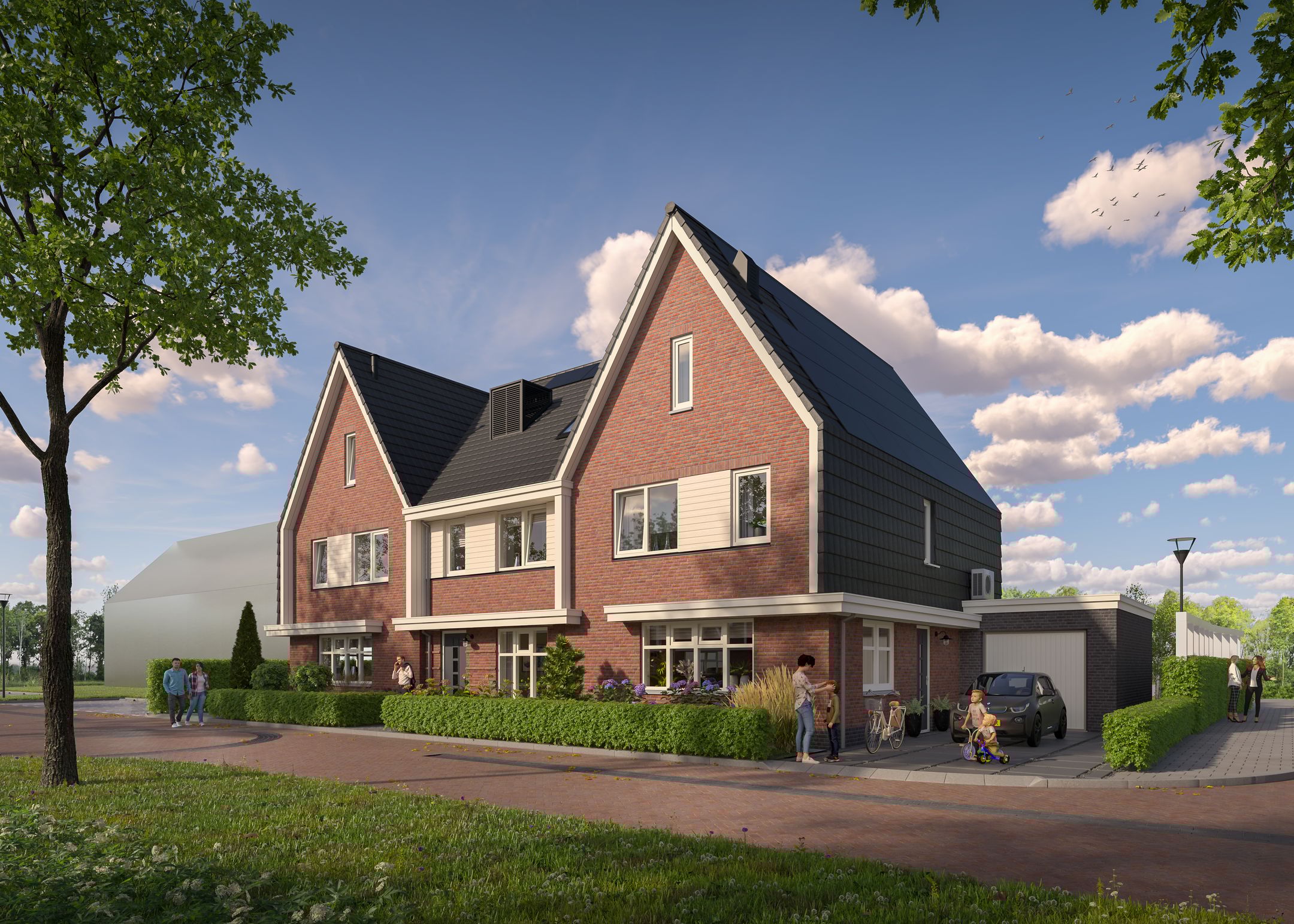 Photo 24 of Pastinaak 80