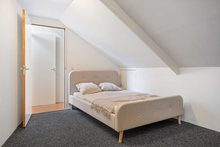 Foto 19 van Ruinerbrink 139