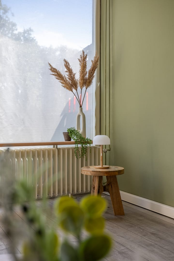 Foto 10 van Ruinerbrink 139